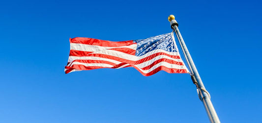 Flagpole Evolution