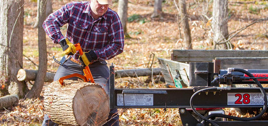 Guide to Curing Firewood