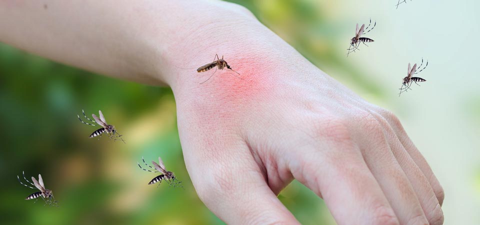 How the Mosquito Magnet Works