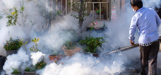 How to Kill Mosquitoes
