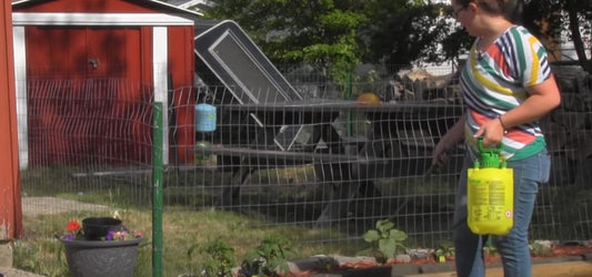 How to Apply Mosquito Barrier