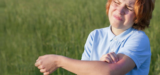 Mosquito Diseases