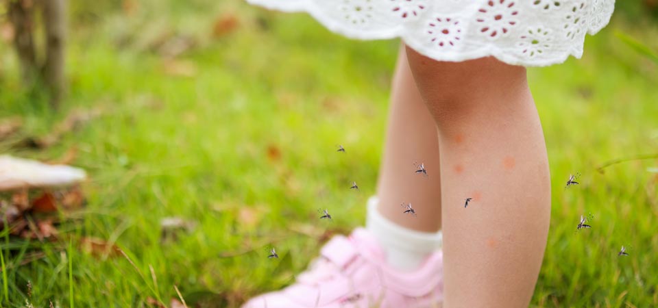 Mosquito Magnet Maintenance & Manuals