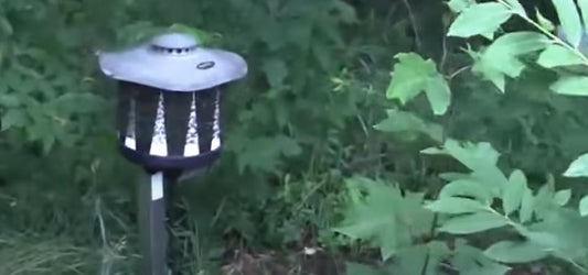 SkeeterVac Mosquito Trap Placement