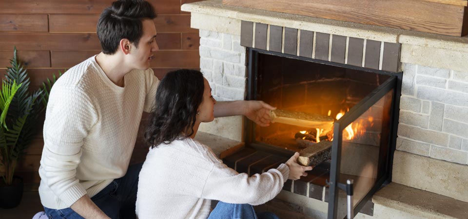 Wood Stoves Buyer's Guide