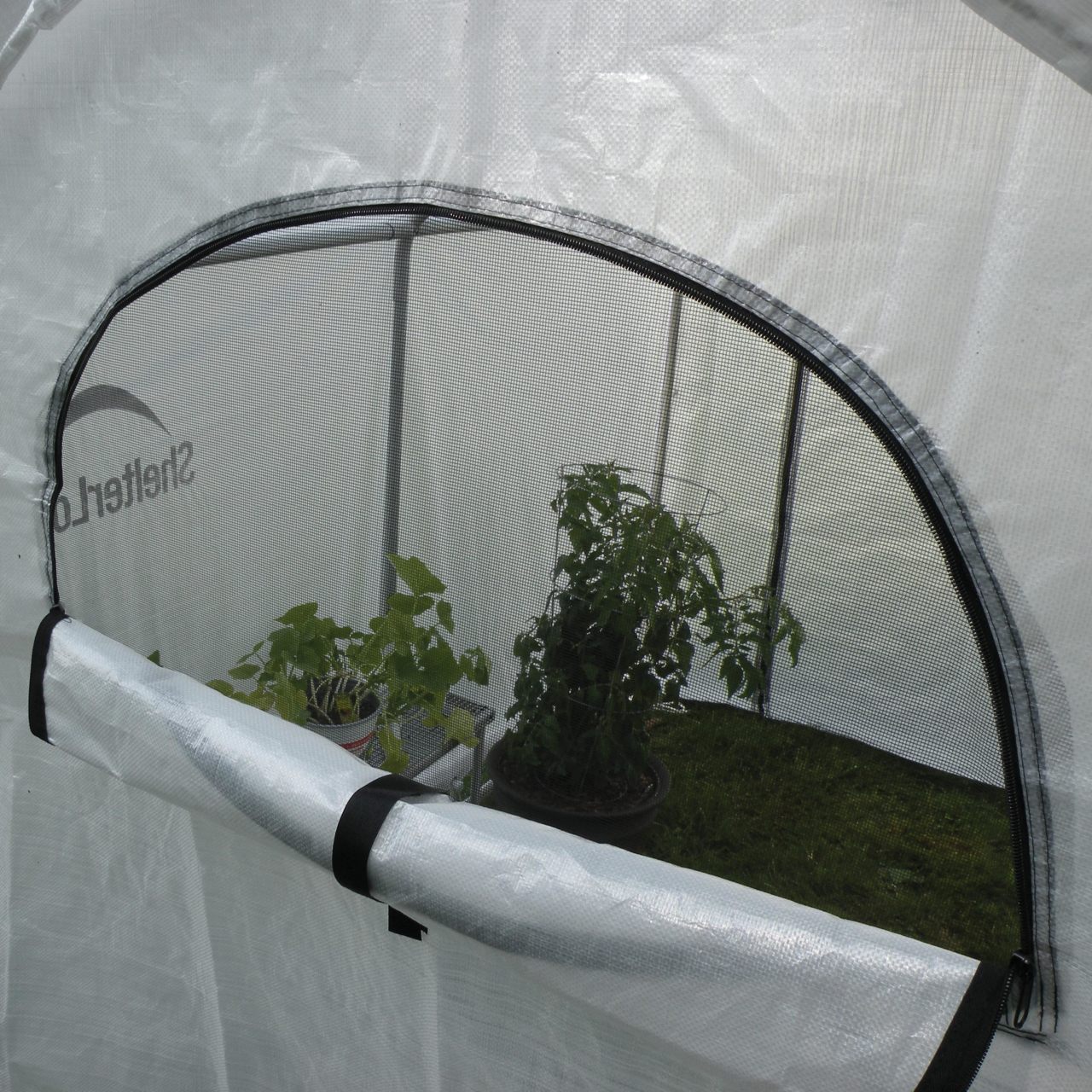 GrowIT 6' x 4' x 6' 6" Backyard Greenhouse - Clear Cover
