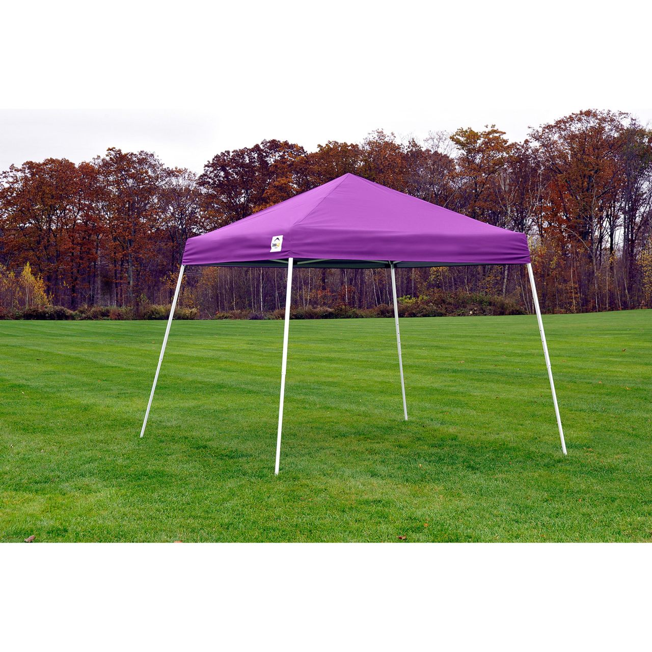 Pop-Up HD 8' x 8' Slant Leg Canopy -  Purple