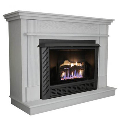 Ashley 1,200 Sq. Ft. Vent Free Single-Burner LP Gas Stove - AGVF340LP