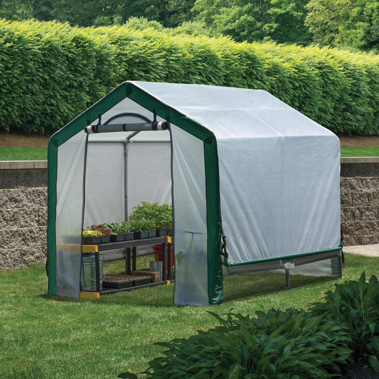 Organic Growers 6' x 8' x 6.5' Greenhouse - Clear Cover