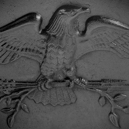 American Eagle Fireback - 18'' H x 24'' W