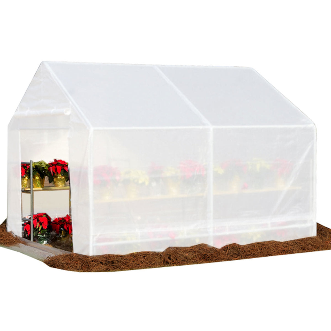 King Canopy 10' x 10' Greenhouse with Green House Clear Cover - GH1010PCS