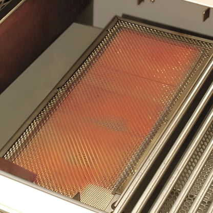 FireMagic Choice C540i 30" Built-In Grill with Analog Thermometer, LP-NG - C540IRT1P/C540IRT1N