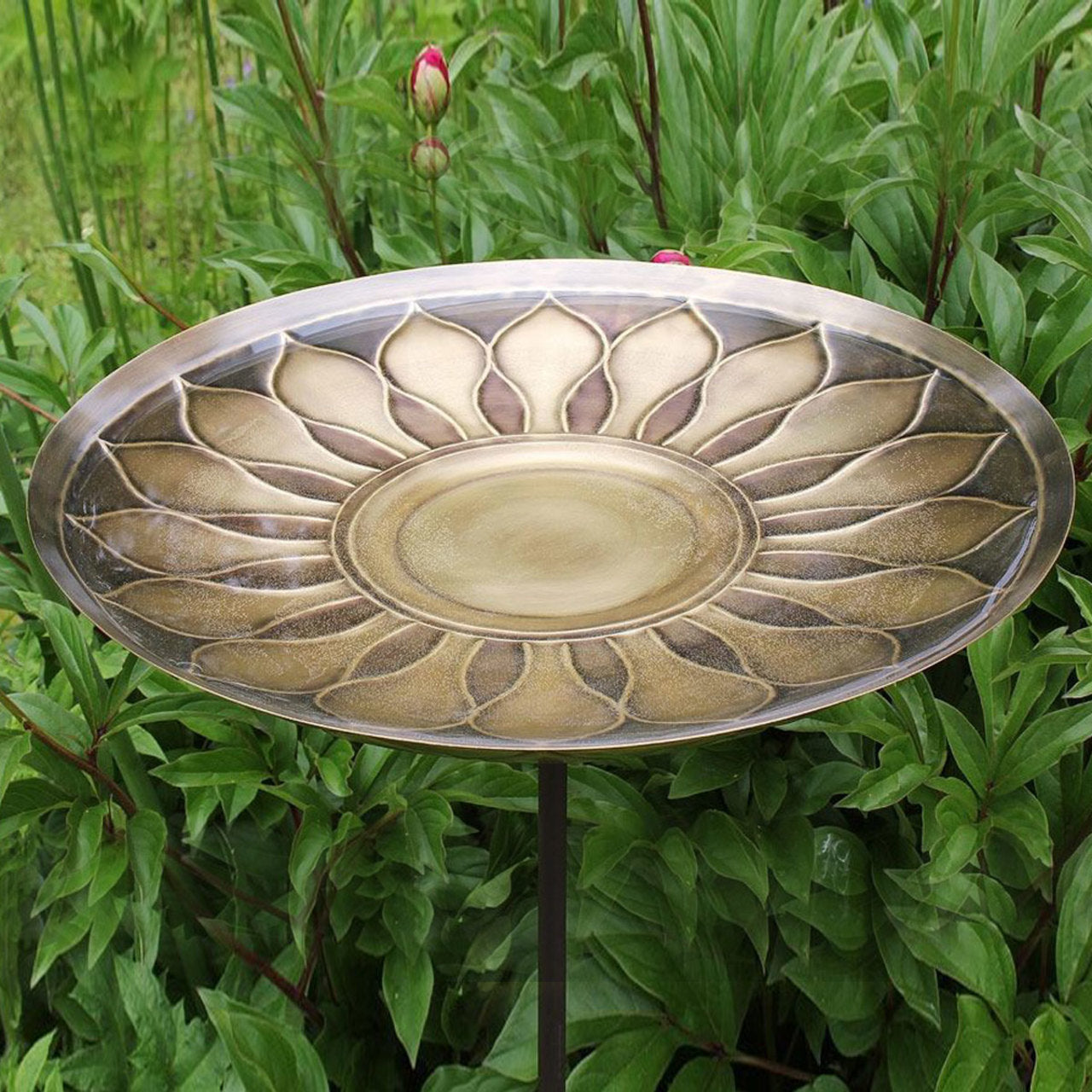 16" Brass African Daisy Birdbath with Stake