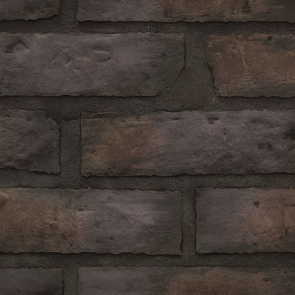 Napoleon Decorative Panels for B30/B36/B42/B46 Ascent Fireplaces - DBPB