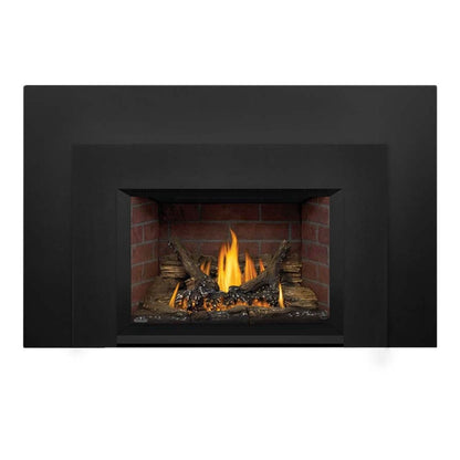 Napoleon Oakville  3 Direct Vent Natural Gas Fireplace Insert - GDI3N-1