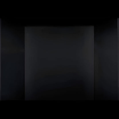 Napoleon Mirro-Flame Porcelain Panels for GDI3 - PRPIX4