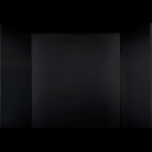 Napoleon Mirro-Flame Porcelain Panels for GDI3 - PRPIX4