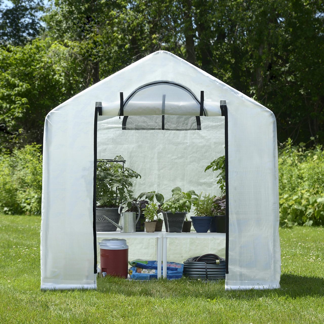 GrowIT 6' x 4' x 6' 6" Backyard Greenhouse - Clear Cover