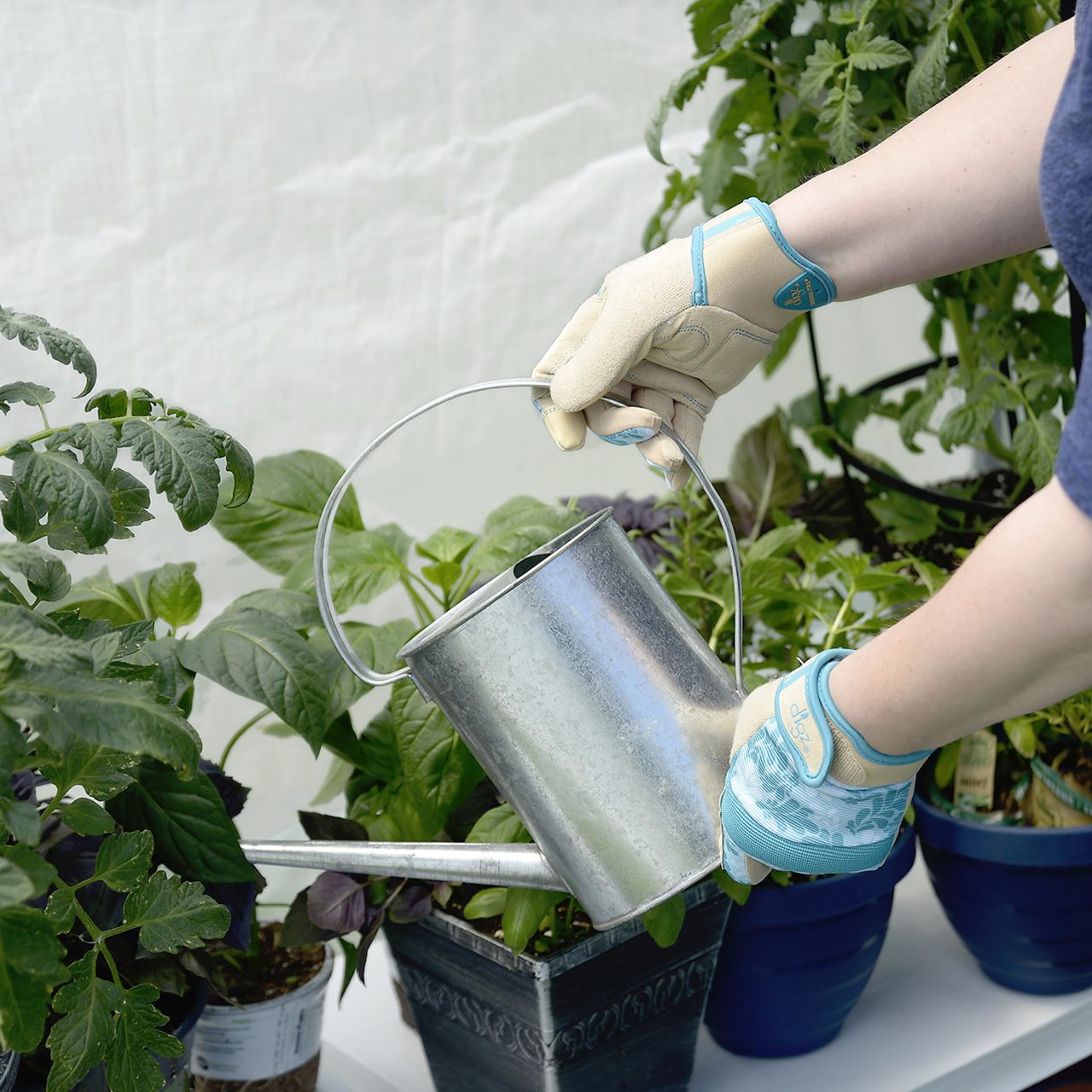 GrowIT 6' x 4' x 6' 6" Backyard Greenhouse - Clear Cover