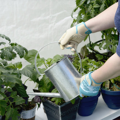 GrowIT 6' x 4' x 6' 6" Backyard Greenhouse - Clear Cover