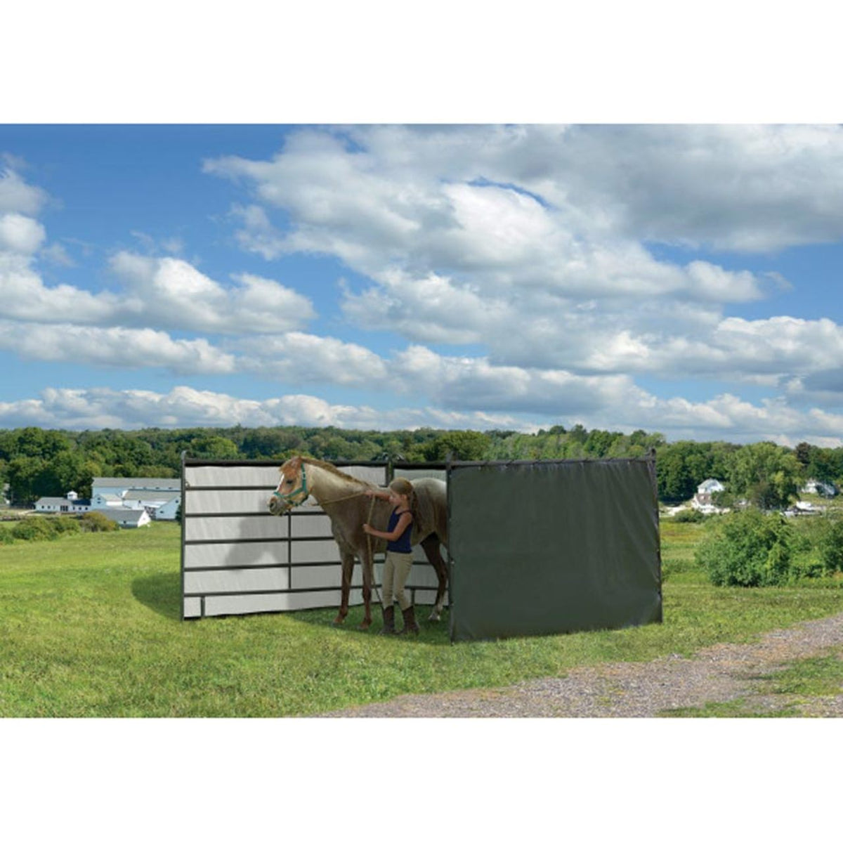 Enclosure Kit Panels ONLY  for 10' x 10' Shelter - Green