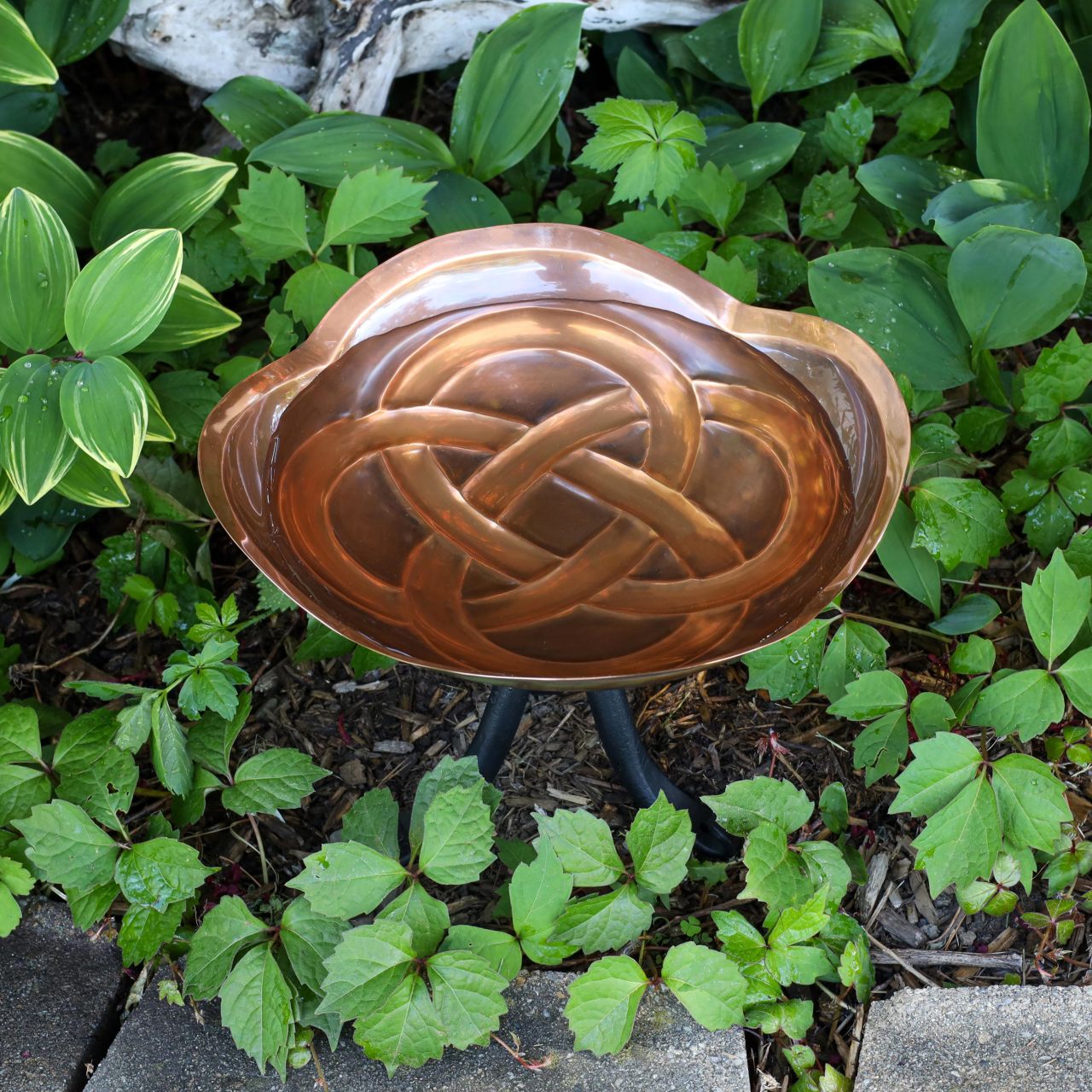 10.5" Dara Knot Copper Birdbath with Tripod Stand