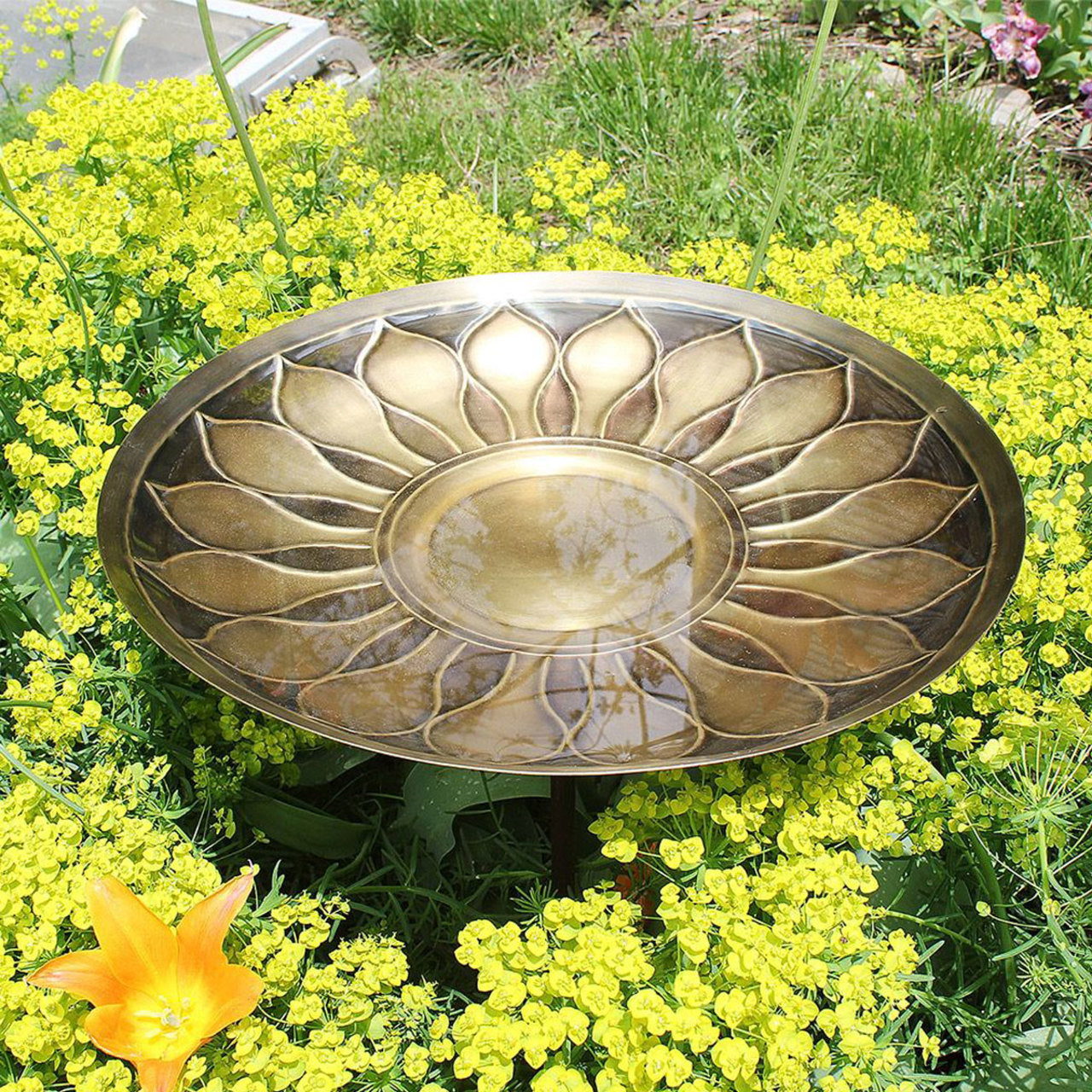 16" Brass African Daisy Birdbath with Stake