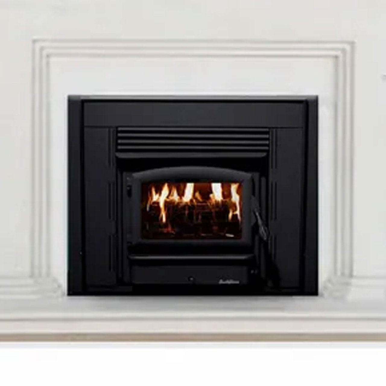 Wood Stove Insert with Black Door - Model 21ZC