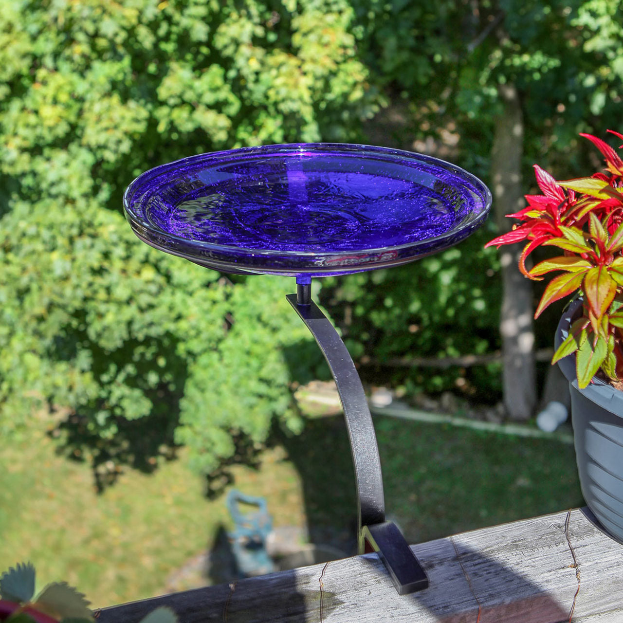 12-in. Cobalt Blue Crackle Glass Bowl Birdbath