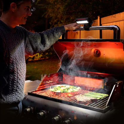 Dual Action Grill Light