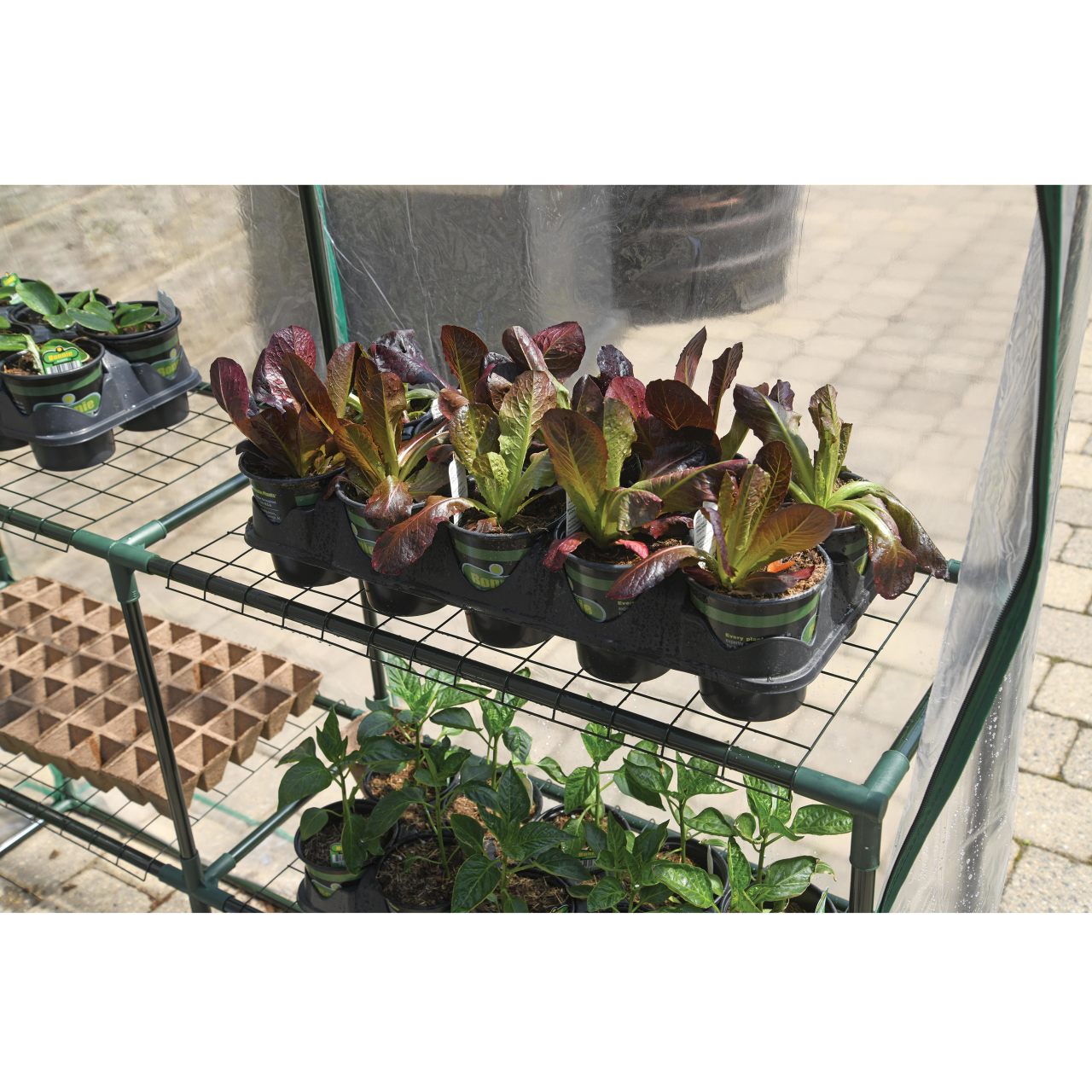 Grow IT 4' 8" x 4' 8" x 6' 5" Small Greenhouse - Clear Cover