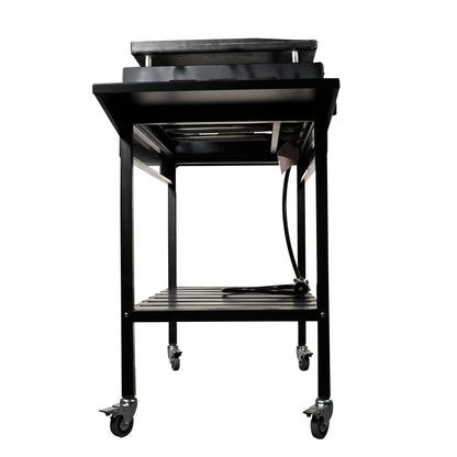 WoodEze 4-Burner Flat Top Griddle Gas Grill - Black and Stainless Steel