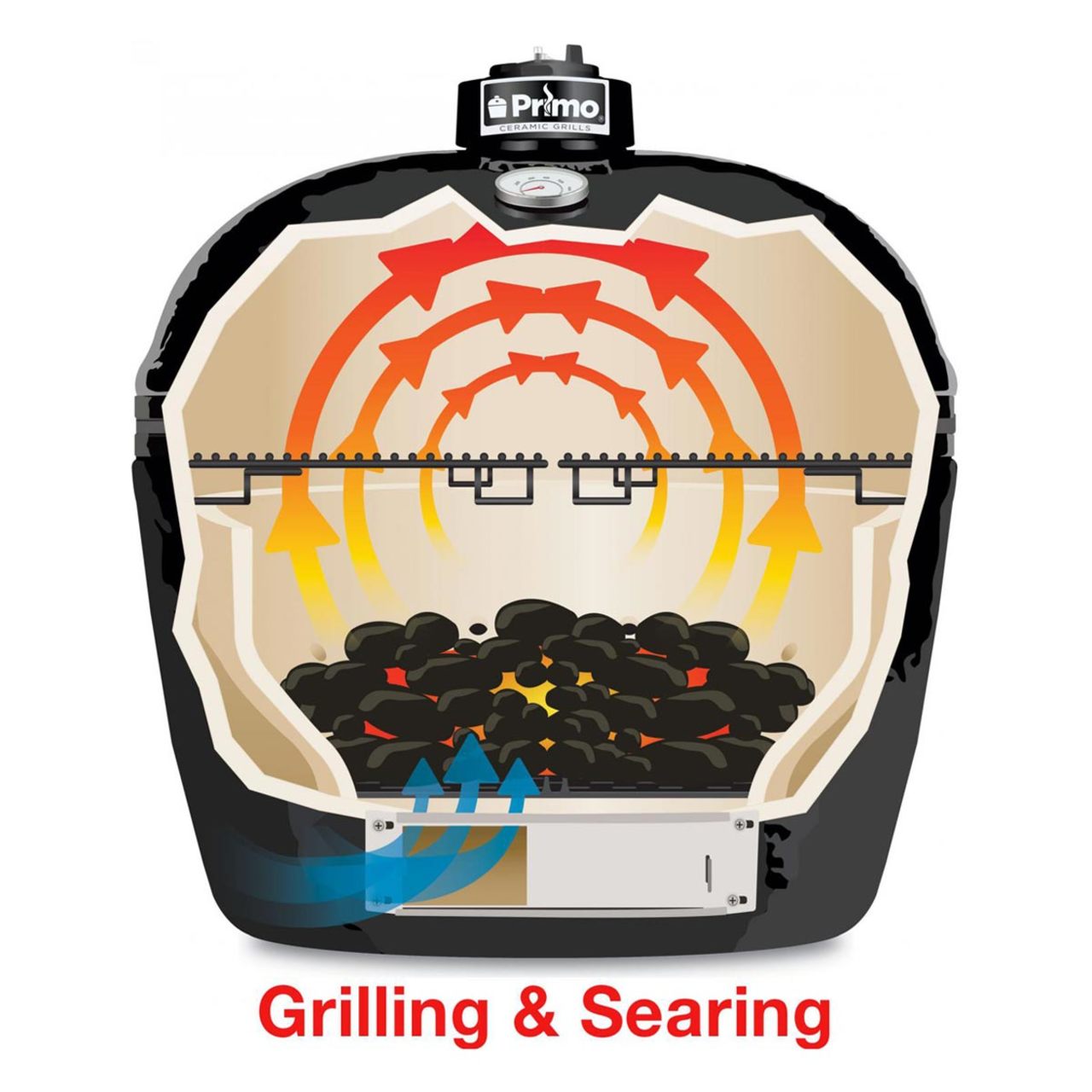 Primo Oval Junior Grill 200 - Black
