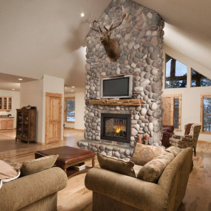 Napoleon Ascent See Through Direct Vent Natural Gas Fireplace with Log Set - BHD4STN