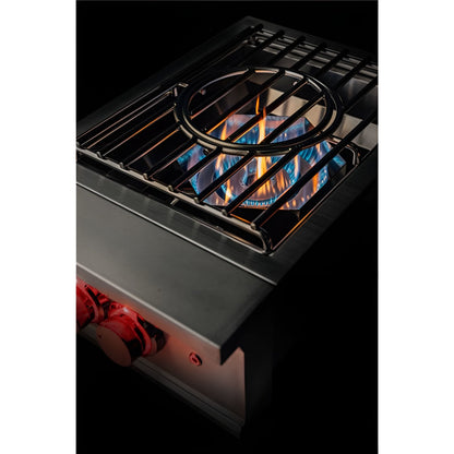 TrueFlame Power Burner - LP-NG - TFPB