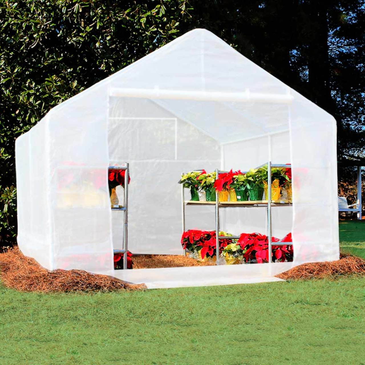 King Canopy 10' x 10' Greenhouse with Green House Clear Cover - GH1010PCS