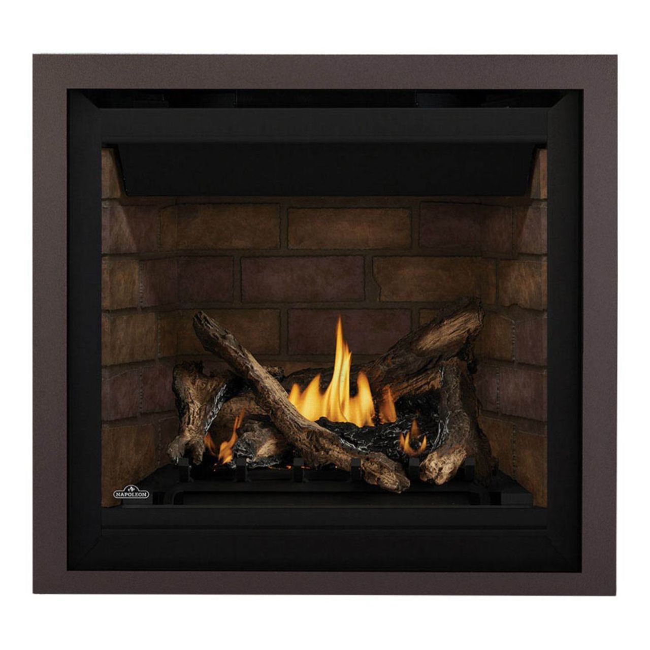Napoleon Altitude X Direct Vent 36" Propane Gas Fireplace - AX36PTE-1