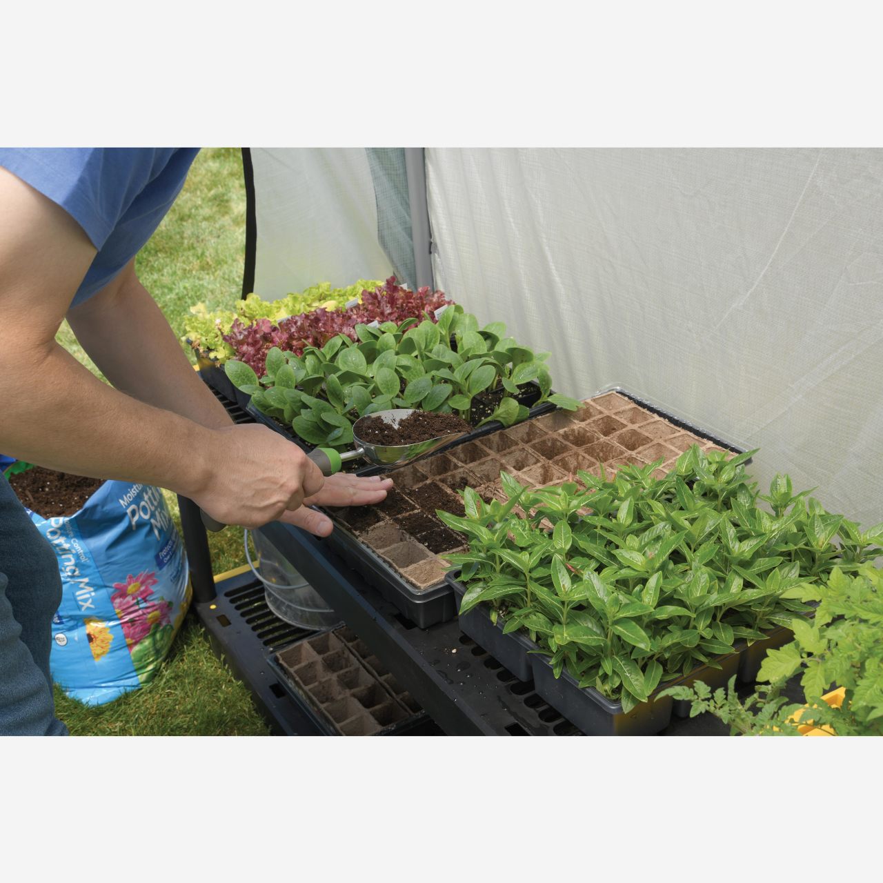 Organic Growers 6' x 8' x 6.5' Greenhouse - Clear Cover