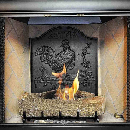 Aetna Cast Iron Fireback - 26" H x 22" W