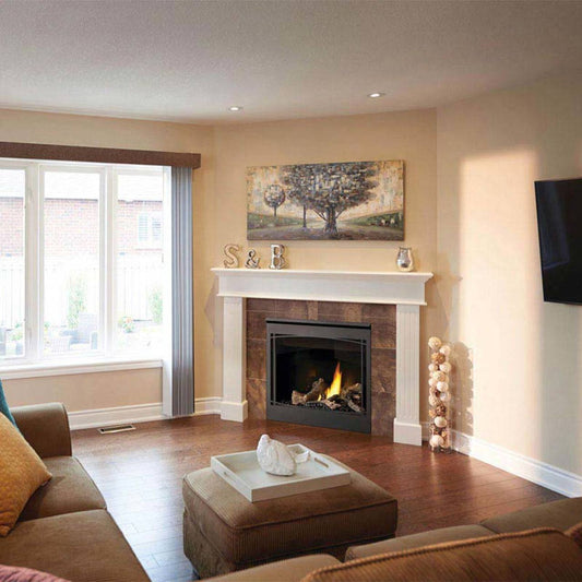 Napoleon Ascent 36 Direct Vent Electronic Ignition Natural Gas Fireplace - BX36NTRE