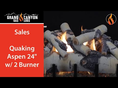 Grand Canyon 18" Quaking Aspen Gas Log Set - Vented