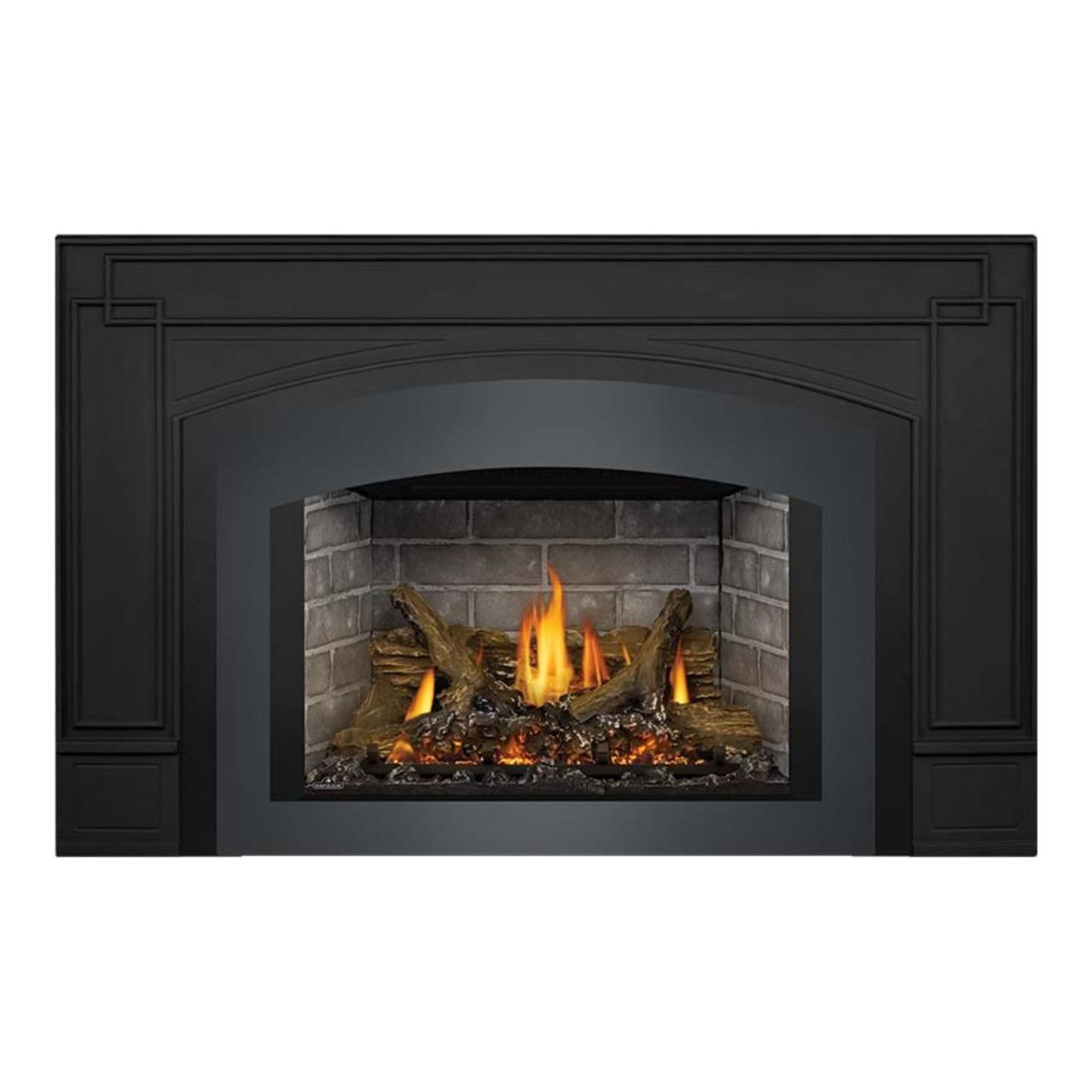 Napoleon Oakville X4 Direct Vent Natural Gas Fireplace Insert GDIX4N-1