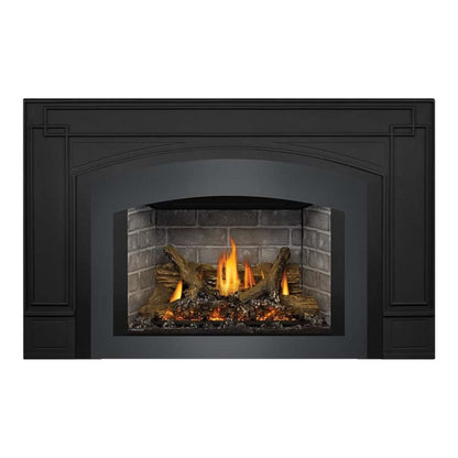 Napoleon Oakville X4 Direct Vent Natural Gas Fireplace Insert GDIX4N-1