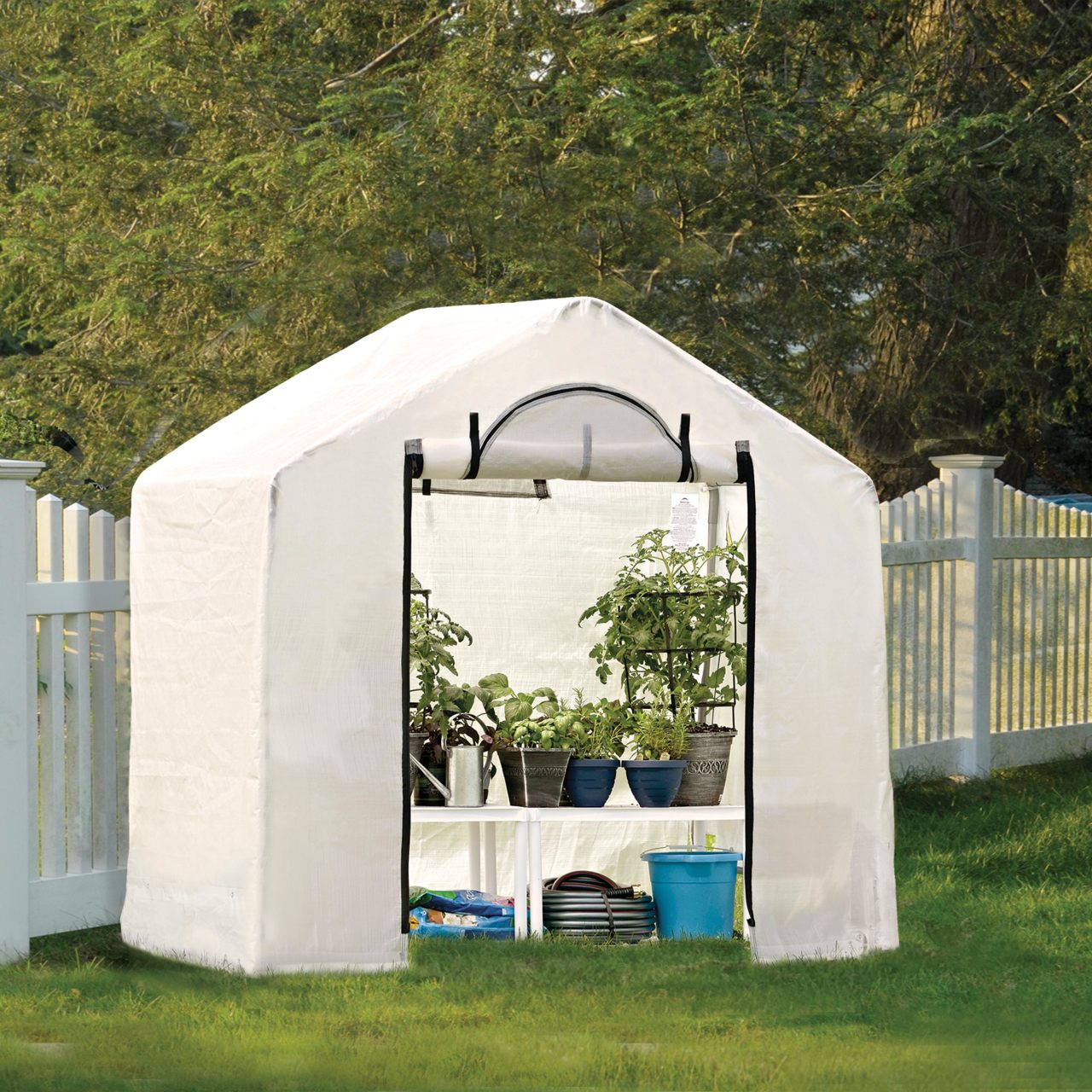 GrowIT 6' x 4' x 6' 6" Backyard Greenhouse - Clear Cover