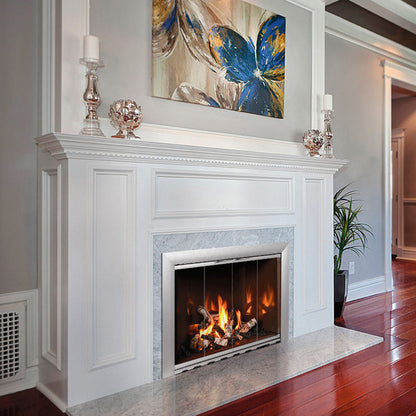 Hearth Craft Reflection Stock Masonry Fireplace Door