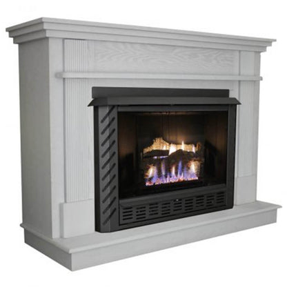 Ashley 1,200 Sq. Ft. Vent Free Single-Burner NG Stove - AGVF340N