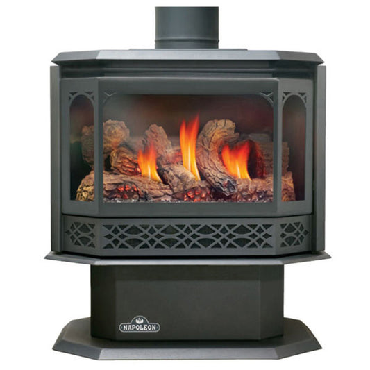 Napoleon Havelock 50 Direct Vent Gas Stove GDS50-1NSB