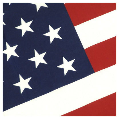 Valley Forge 3ft x 5ft USA Printed Polyester Cotton Flag