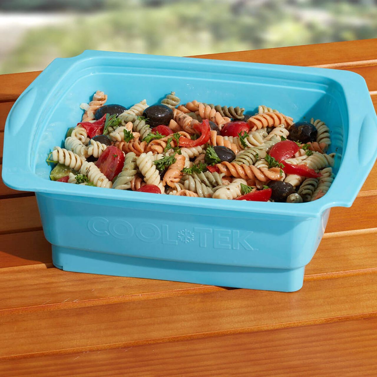 Cool-Tek Marinade / Serving Set in Blue