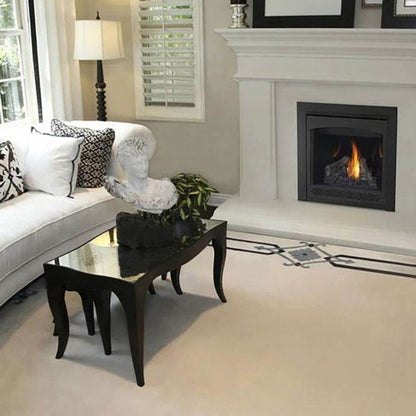 Napoleon Ascent 30 Direct Vent Electronic Ignition Natural Gas Fireplace - B30NTRE-1